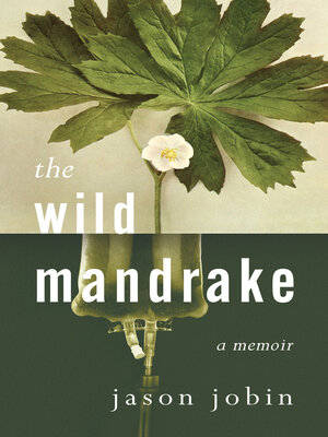cover image of The Wild Mandrake